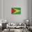 Grunge Sovereign State Flag Of Country Of Guyana In Official Colors-Speedfighter-Art Print displayed on a wall