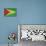 Grunge Sovereign State Flag Of Country Of Guyana In Official Colors-Speedfighter-Stretched Canvas displayed on a wall