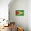 Grunge Sovereign State Flag Of Country Of Guyana In Official Colors-Speedfighter-Stretched Canvas displayed on a wall