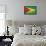 Grunge Sovereign State Flag Of Country Of Guyana In Official Colors-Speedfighter-Framed Stretched Canvas displayed on a wall