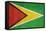 Grunge Sovereign State Flag Of Country Of Guyana In Official Colors-Speedfighter-Framed Stretched Canvas