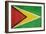 Grunge Sovereign State Flag Of Country Of Guyana In Official Colors-Speedfighter-Framed Art Print