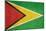 Grunge Sovereign State Flag Of Country Of Guyana In Official Colors-Speedfighter-Mounted Art Print