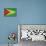 Grunge Sovereign State Flag Of Country Of Guyana In Official Colors-Speedfighter-Premium Giclee Print displayed on a wall