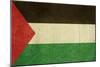 Grunge Sovereign State Flag Of Country Of Palestne In Official Colors-Speedfighter-Mounted Art Print