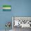 Grunge Sovereign State Flag Of Country Of Sierra Leone In Official Colors-Speedfighter-Art Print displayed on a wall
