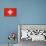 Grunge Sovereign State Flag Of Country Of Switzerland In Official Colors. F-Speedfighter-Stretched Canvas displayed on a wall