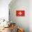 Grunge Sovereign State Flag Of Country Of Switzerland In Official Colors. F-Speedfighter-Stretched Canvas displayed on a wall