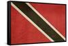 Grunge Sovereign State Flag Of Country Of Trinidad And Tobago In Official Colors-Speedfighter-Framed Stretched Canvas