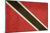 Grunge Sovereign State Flag Of Country Of Trinidad And Tobago In Official Colors-Speedfighter-Mounted Premium Giclee Print