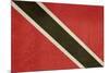 Grunge Sovereign State Flag Of Country Of Trinidad And Tobago In Official Colors-Speedfighter-Mounted Art Print