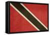 Grunge Sovereign State Flag Of Country Of Trinidad And Tobago In Official Colors-Speedfighter-Framed Stretched Canvas