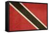 Grunge Sovereign State Flag Of Country Of Trinidad And Tobago In Official Colors-Speedfighter-Framed Stretched Canvas