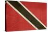 Grunge Sovereign State Flag Of Country Of Trinidad And Tobago In Official Colors-Speedfighter-Stretched Canvas