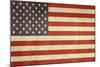 Grunge Sovereign State Flag Of Country Of United States Of America In Official Colors-Speedfighter-Mounted Art Print