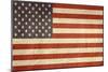 Grunge Sovereign State Flag Of Country Of United States Of America In Official Colors-Speedfighter-Mounted Art Print