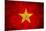 Grunge Vietnam Flag-darrenwhi-Mounted Art Print