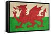 Grunge Welsh Dragon Flag Illustration, Isolated On White Background-Speedfighter-Framed Stretched Canvas