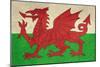 Grunge Welsh Dragon Flag Illustration, Isolated On White Background-Speedfighter-Mounted Art Print