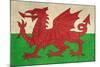Grunge Welsh Dragon Flag Illustration, Isolated On White Background-Speedfighter-Mounted Art Print