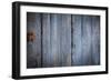 Grunge Wood Texture Background Old Panel-dedukh-Framed Photographic Print