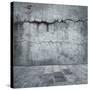 Grungy Distressed Stone Wall and Floor with Large Cracks-landio-Stretched Canvas