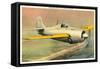 Grunman F4F3 U.S. Navy Fighter-null-Framed Stretched Canvas