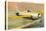 Grunman F4F3 U.S. Navy Fighter-null-Stretched Canvas
