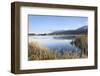 Gruntensee in Autumn, Ostallgau, Allgau, Allgau Alps, Bavaria, Germany, Europe-Markus Lange-Framed Photographic Print