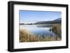 Gruntensee in Autumn, Ostallgau, Allgau, Allgau Alps, Bavaria, Germany, Europe-Markus Lange-Framed Photographic Print