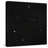 Grus Constellation-Eckhard Slawik-Stretched Canvas