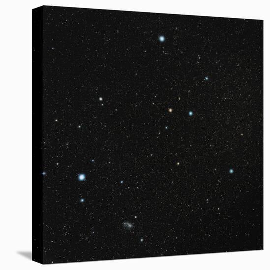 Grus Constellation-Eckhard Slawik-Stretched Canvas