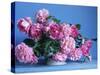 Grussan Achen Felicia and Centenaire de Lourdes Roses-Clay Perry-Stretched Canvas