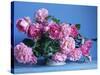 Grussan Achen Felicia and Centenaire de Lourdes Roses-Clay Perry-Stretched Canvas