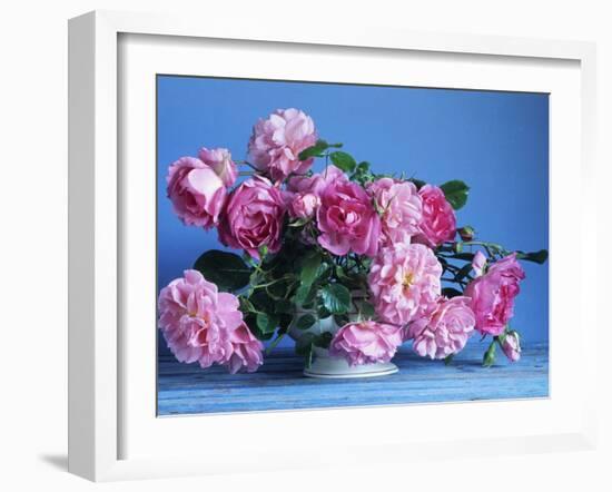 Grussan Achen Felicia and Centenaire de Lourdes Roses-Clay Perry-Framed Premium Photographic Print