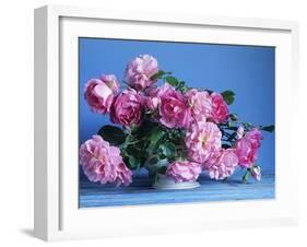 Grussan Achen Felicia and Centenaire de Lourdes Roses-Clay Perry-Framed Premium Photographic Print