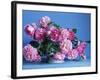 Grussan Achen Felicia and Centenaire de Lourdes Roses-Clay Perry-Framed Photographic Print