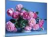 Grussan Achen Felicia and Centenaire de Lourdes Roses-Clay Perry-Mounted Photographic Print