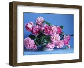 Grussan Achen Felicia and Centenaire de Lourdes Roses-Clay Perry-Framed Photographic Print