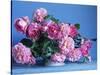 Grussan Achen Felicia and Centenaire de Lourdes Roses-Clay Perry-Stretched Canvas