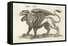 Gryphus, or Greiff, Classified by Johnstone as a Bird-null-Framed Stretched Canvas