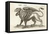 Gryphus, or Greiff, Classified by Johnstone as a Bird-null-Framed Stretched Canvas