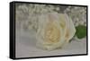 GS-36-001849-Gordon Semmens-Framed Stretched Canvas