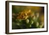 GS-Kalanchoe_1277-Gordon Semmens-Framed Giclee Print