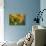 GS-Kalanchoe_1340-Gordon Semmens-Giclee Print displayed on a wall