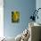 GS-Yellow Tulips_037-Gordon Semmens-Giclee Print displayed on a wall