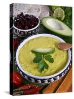 Guacamole Sauce, Mexican Food, Mexico, North America-Tondini Nico-Stretched Canvas