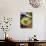 Guacamole Sauce, Mexican Food, Mexico, North America-Tondini Nico-Mounted Photographic Print displayed on a wall