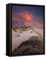 Guadalupe-Nipomo Dunes National Wildlife Refuge, Guadalupe, California:-Ian Shive-Framed Stretched Canvas