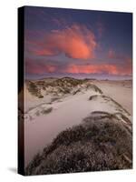 Guadalupe-Nipomo Dunes National Wildlife Refuge, Guadalupe, California:-Ian Shive-Stretched Canvas